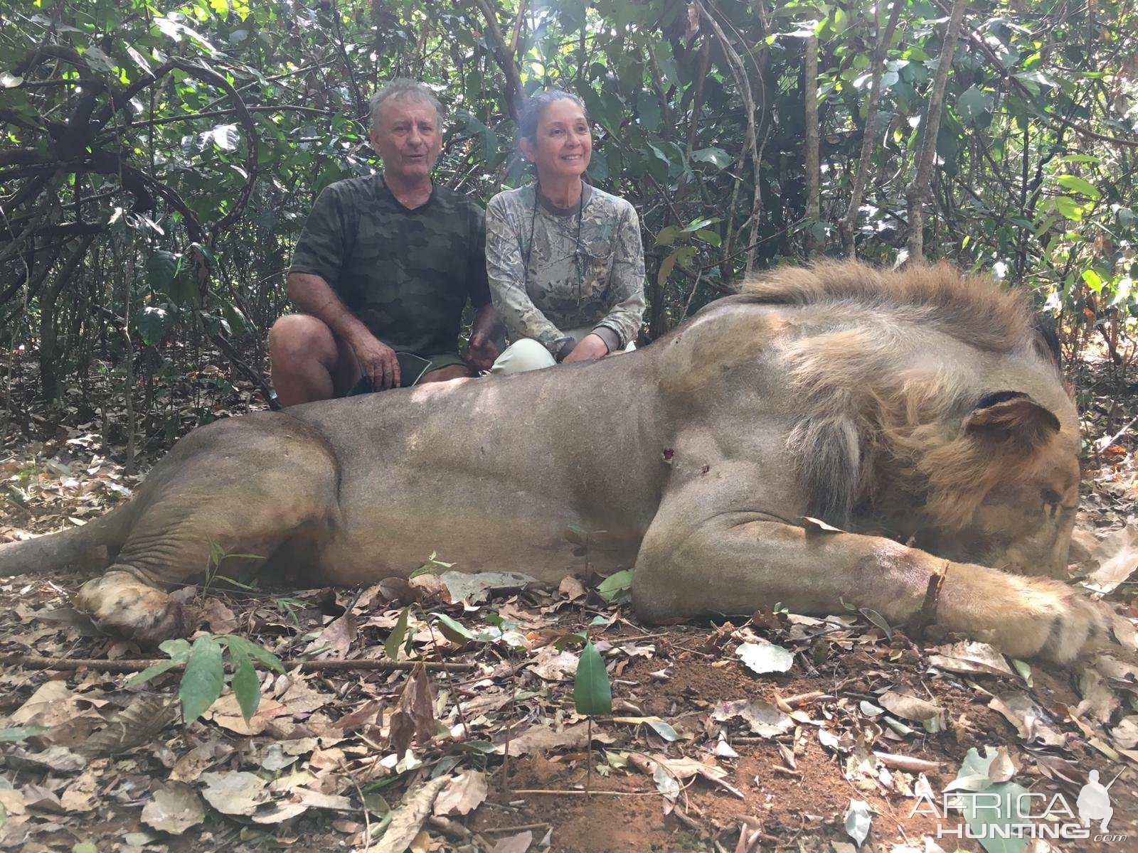 Lion Hunt In Central African Republic