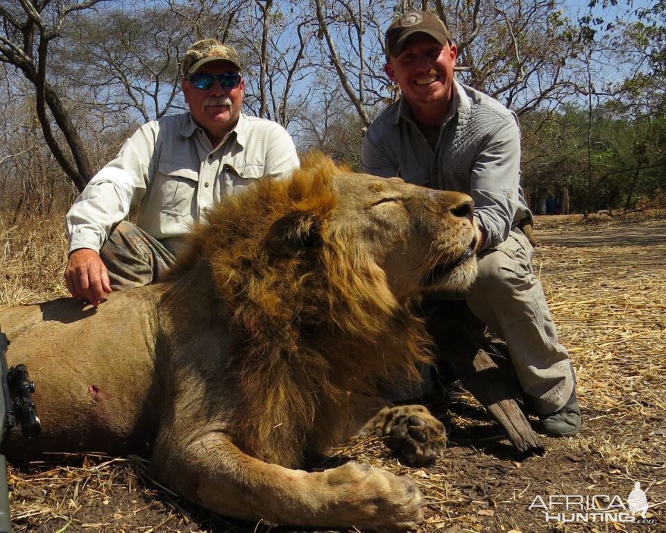 Lion Hunt in Tanzania