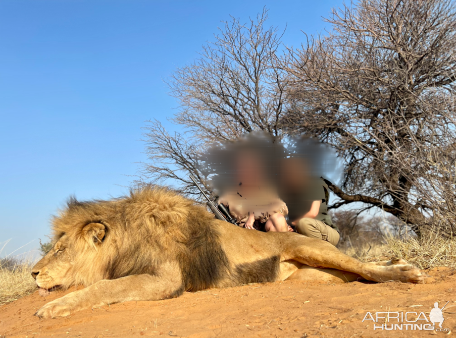 Lion Hunt Kalahari South Africa