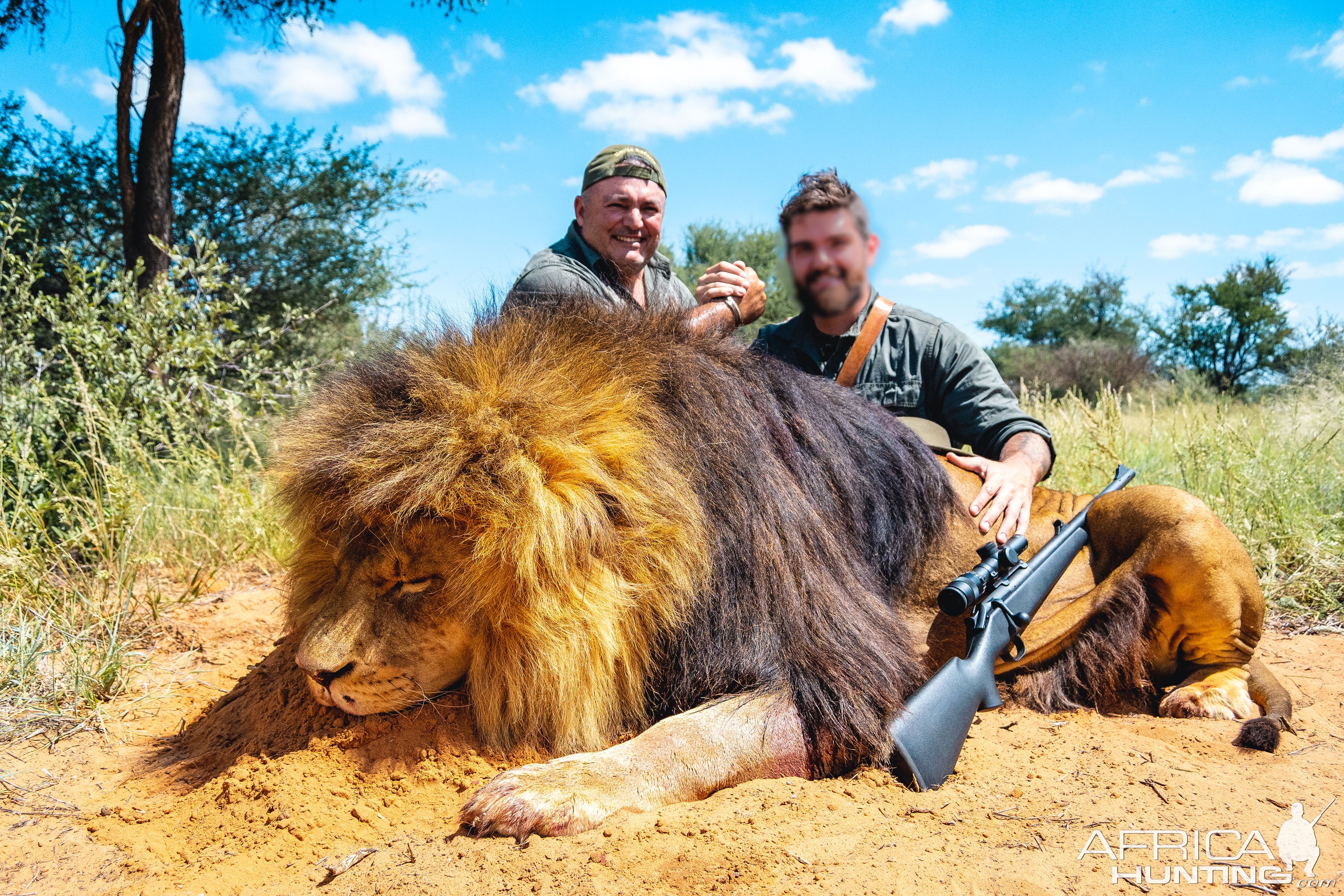 Lion Hunt Kalahari South Africa