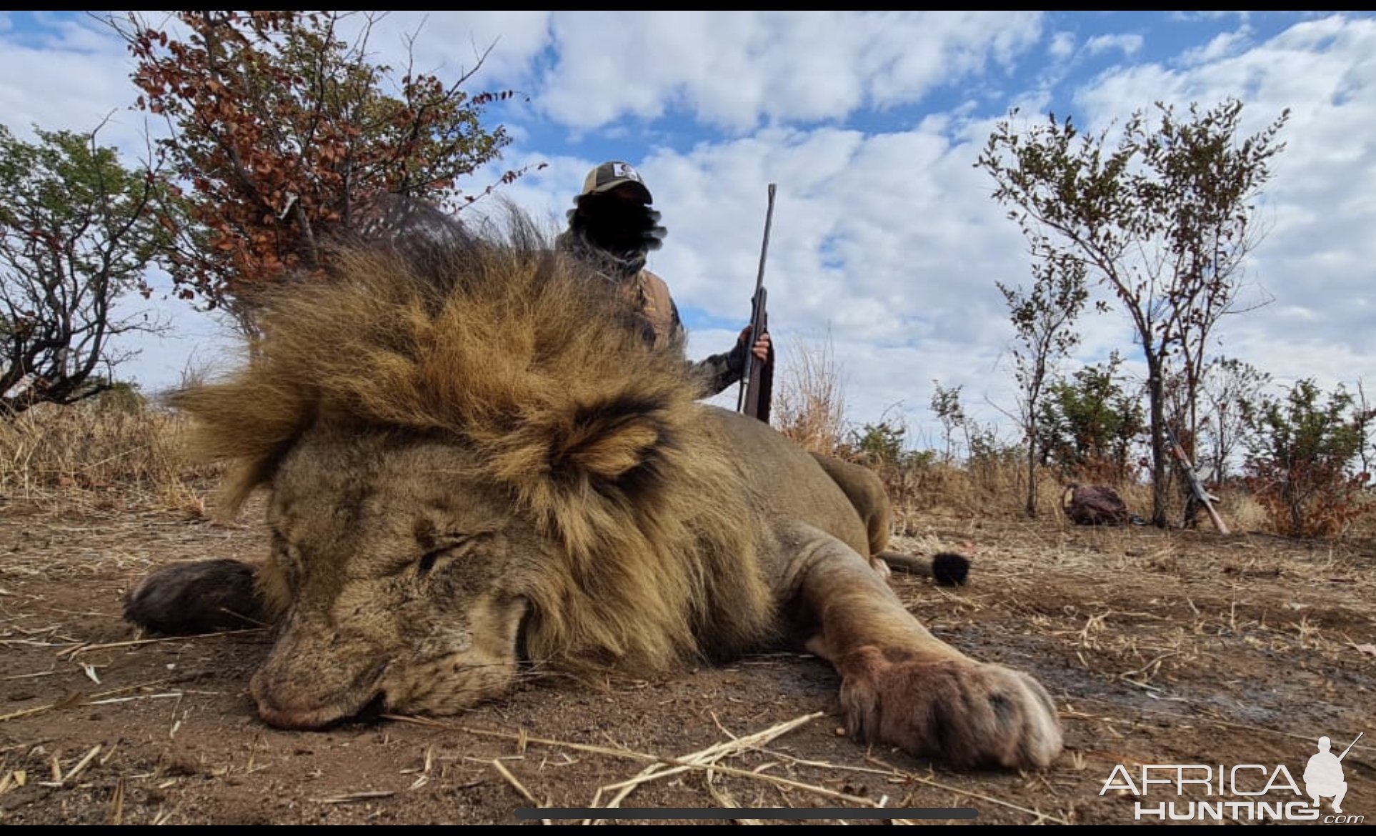 Lion Hunt Matetsi Zimbabwe