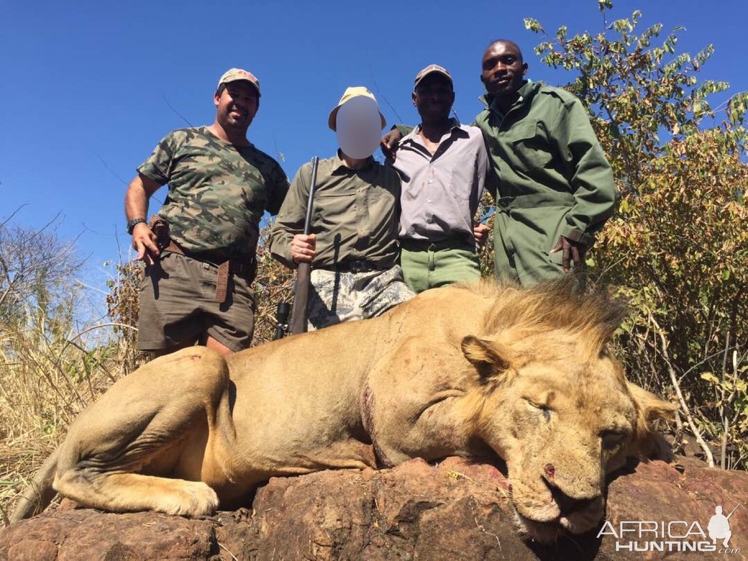 Lion Hunt Matetsi Zimbabwe