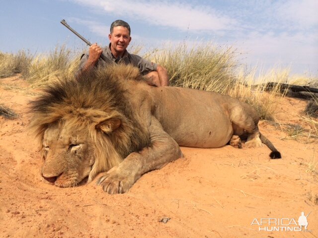 Lion Hunt Namibia