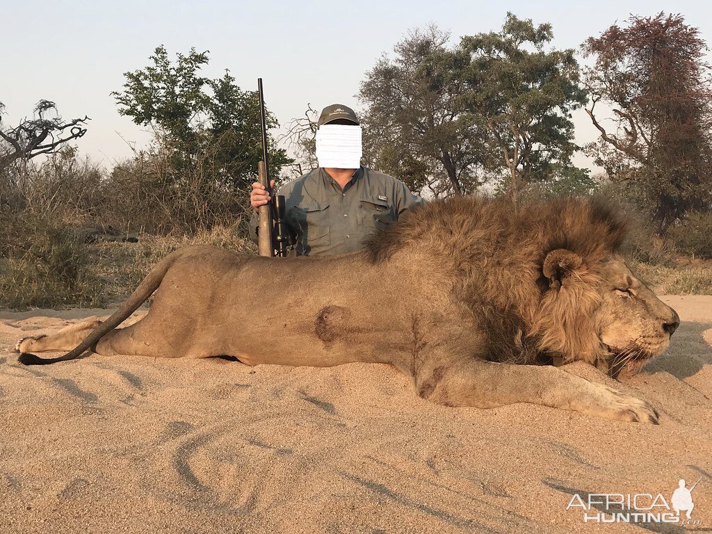 Lion Hunt South Africa