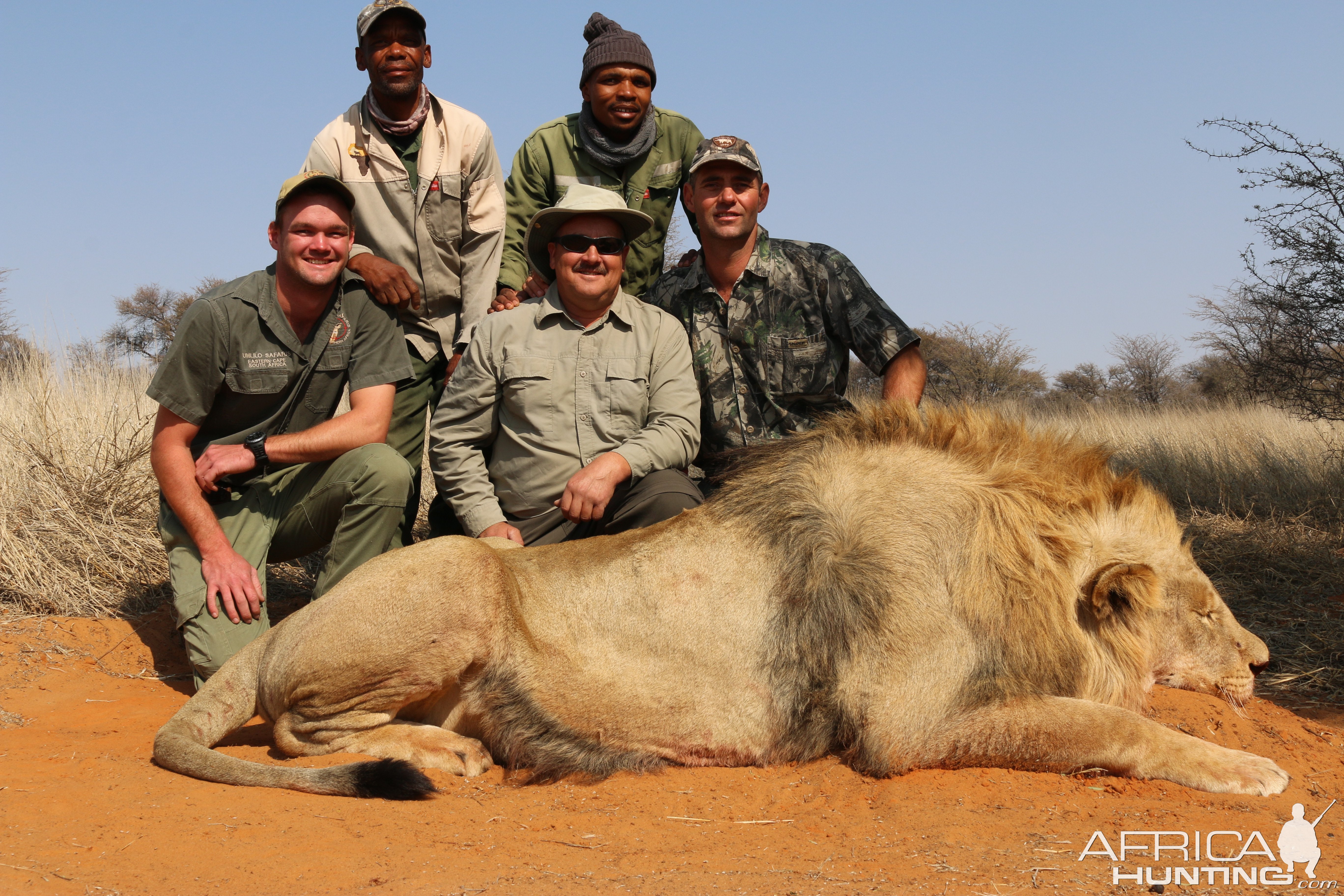 Lion Hunt South Africa