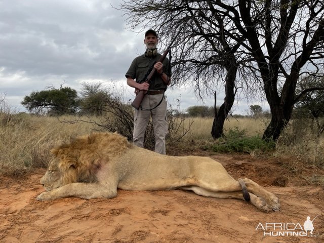 Lion Hunt South Africa