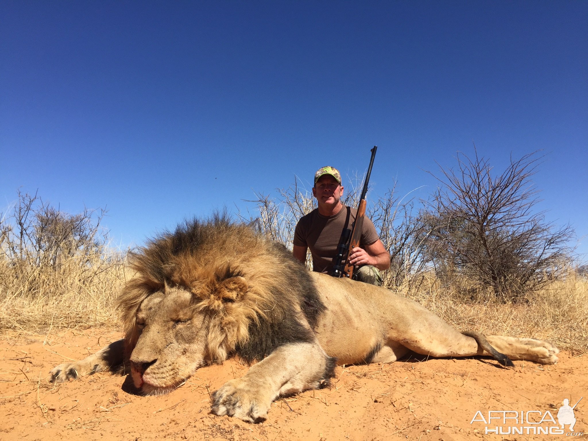 Lion Hunt South Africa