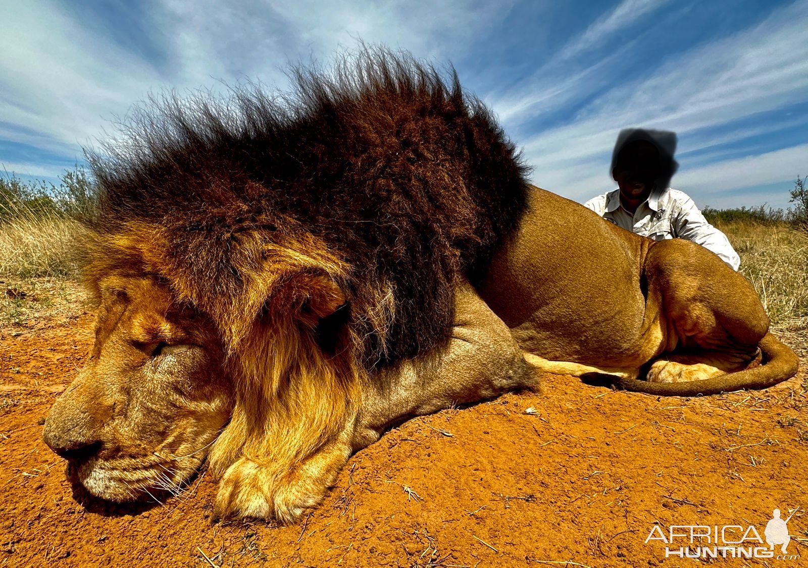 Lion Hunt South Africa