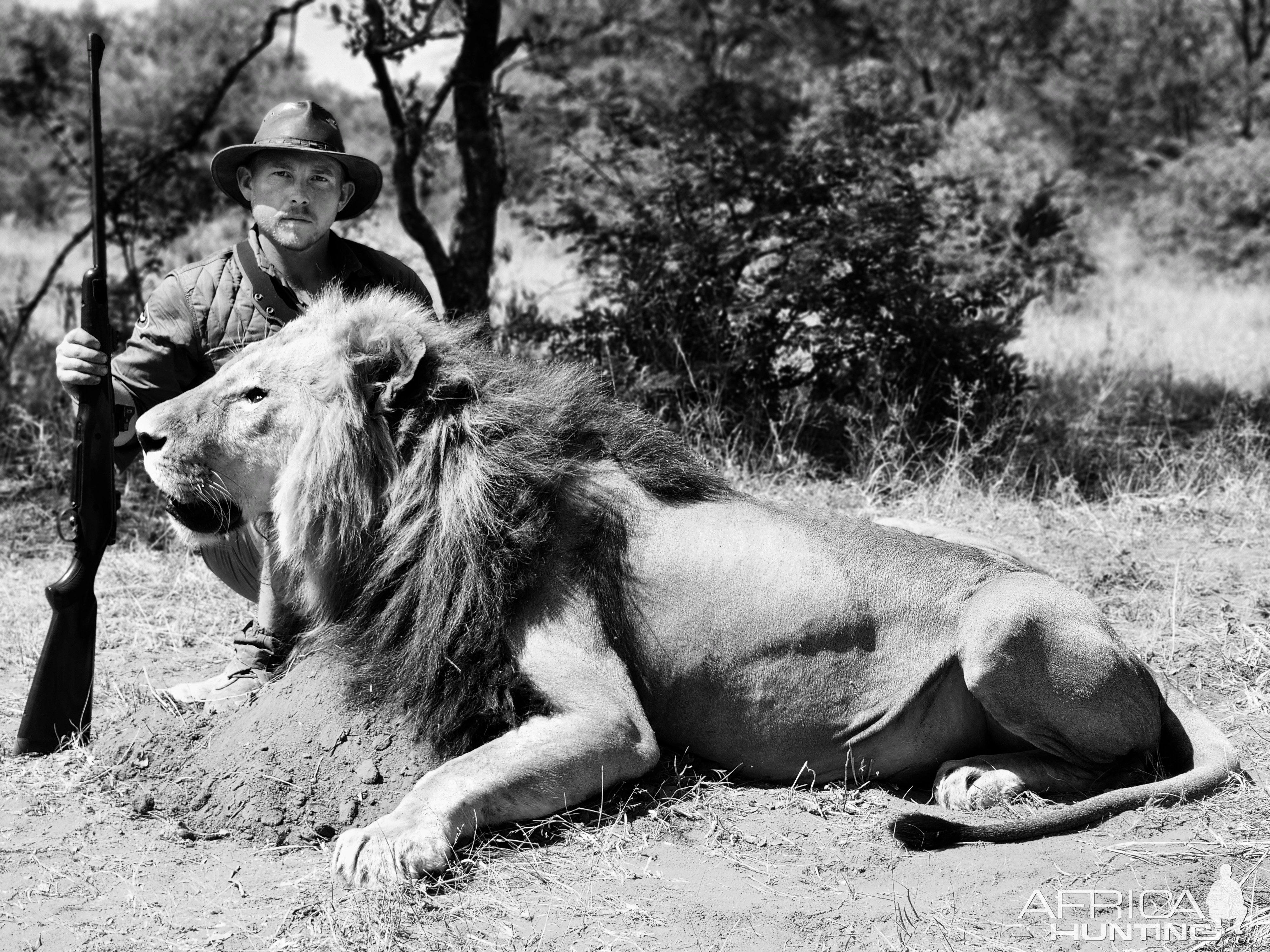 Lion Hunt South Africa