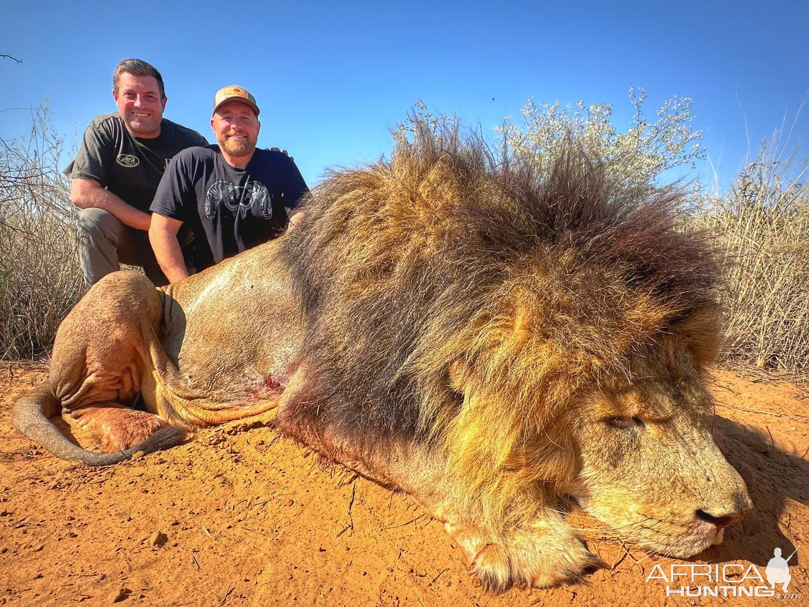 Lion Hunt South Africa