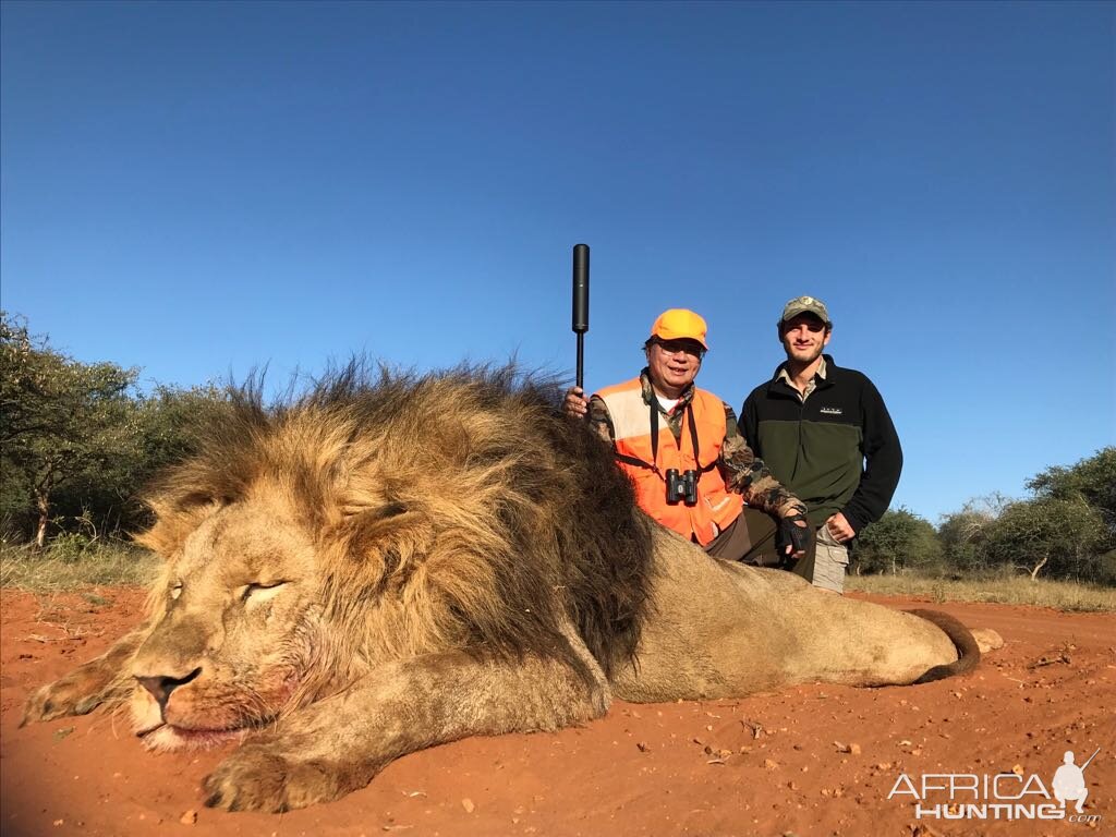 Lion Hunt South Africa