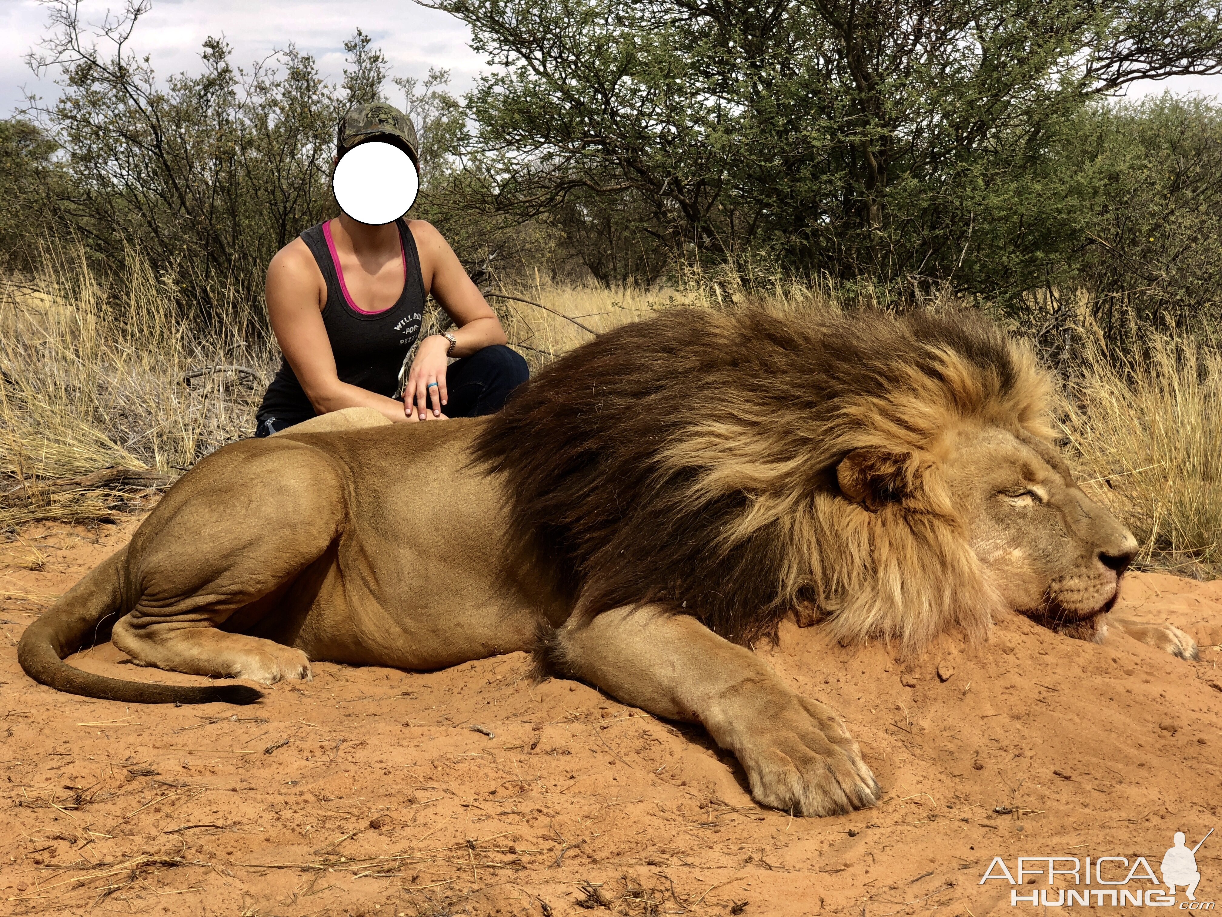 Lion Hunt South Africa