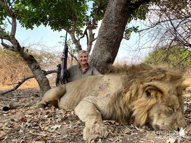 Lion Hunt Zambia