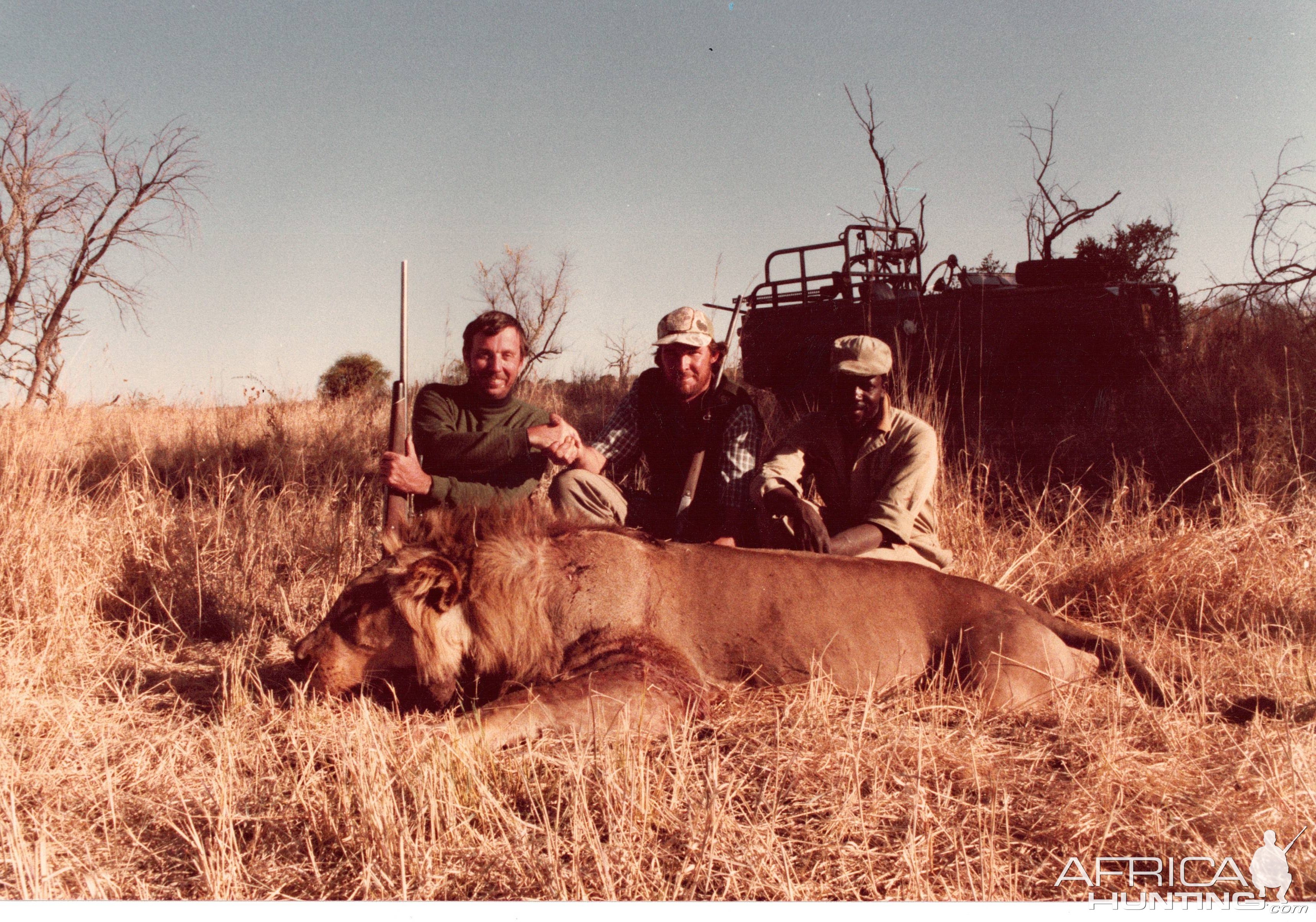 Lion Hunt Zimbabwe 1983