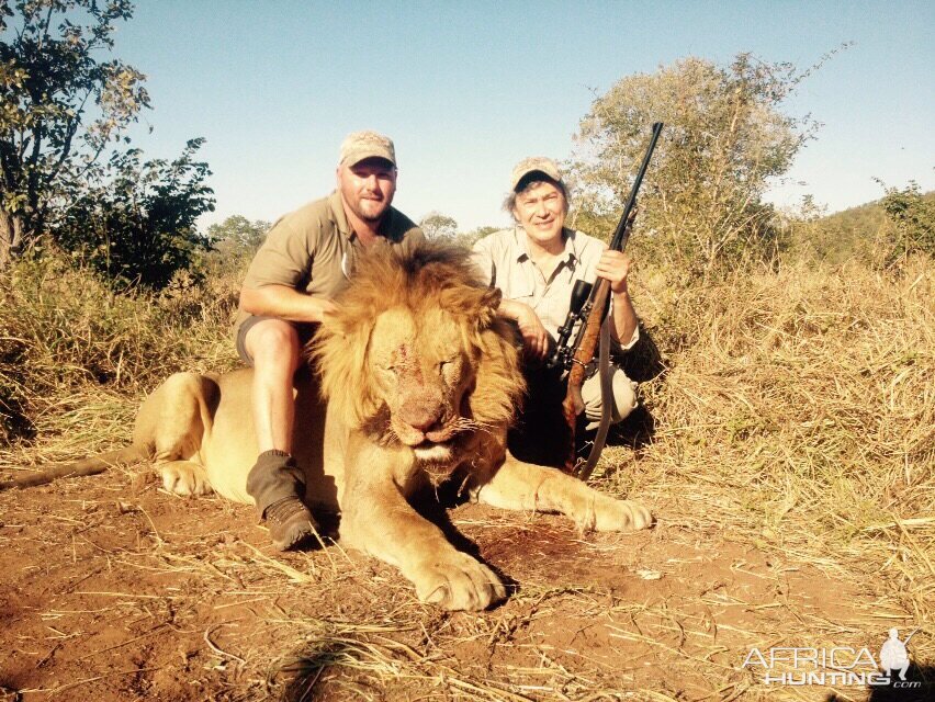 Lion Hunt Zimbabwe