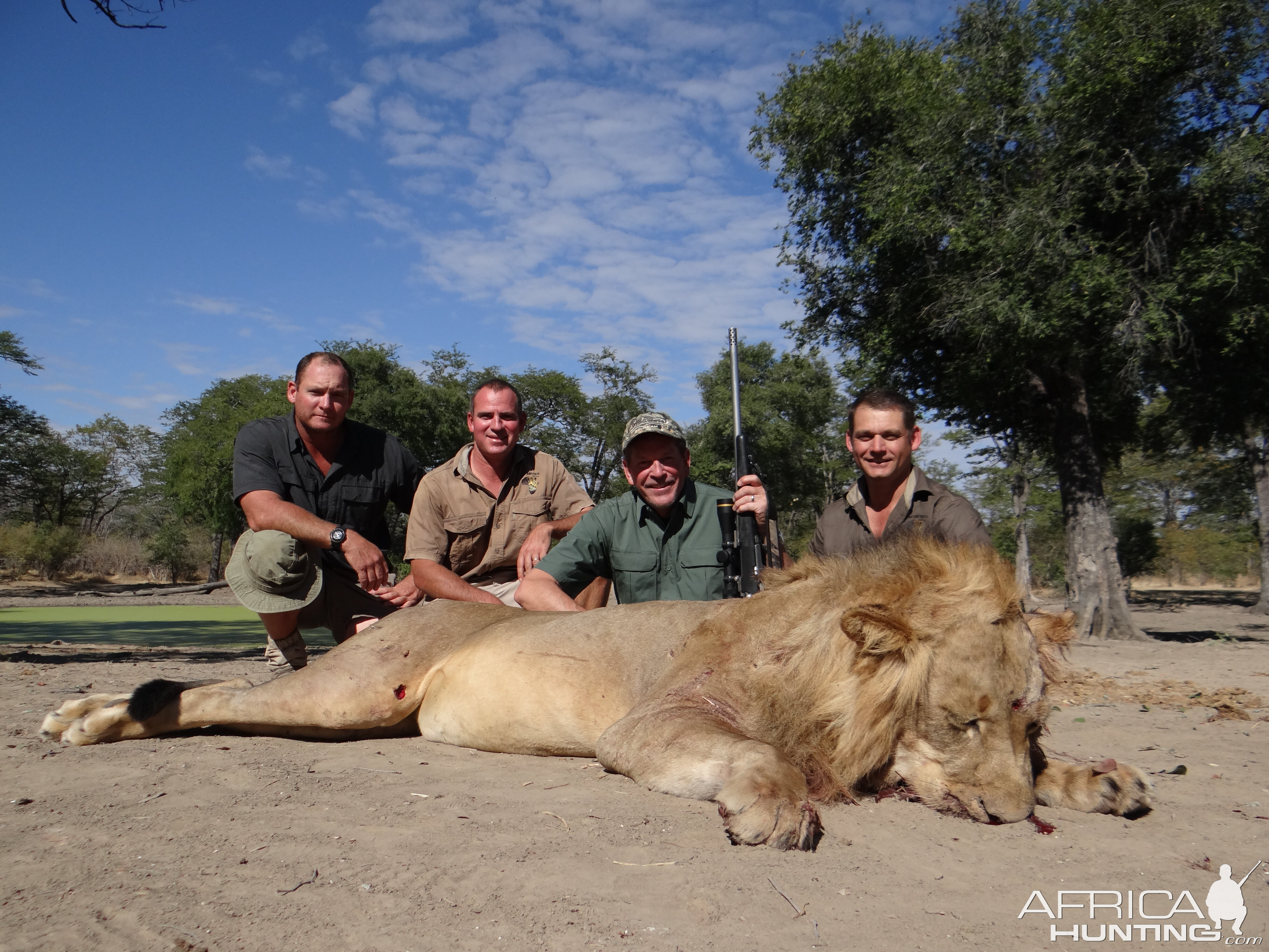 Lion Hunt Zimbabwe