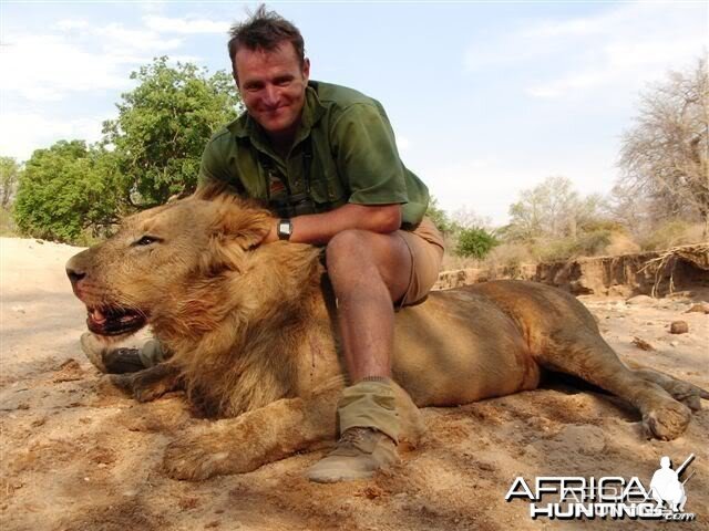 Lion hunted by tracking... A fantastic hunt!