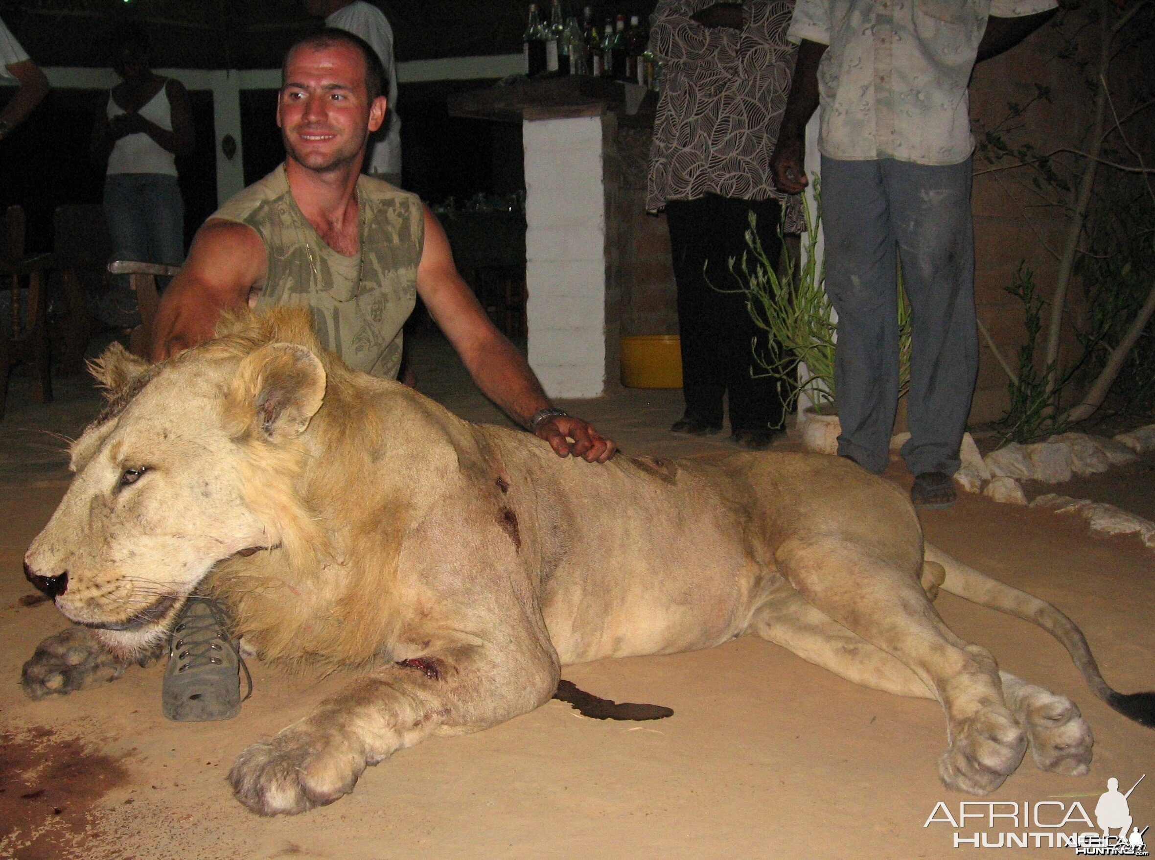 Lion hunted in Benin