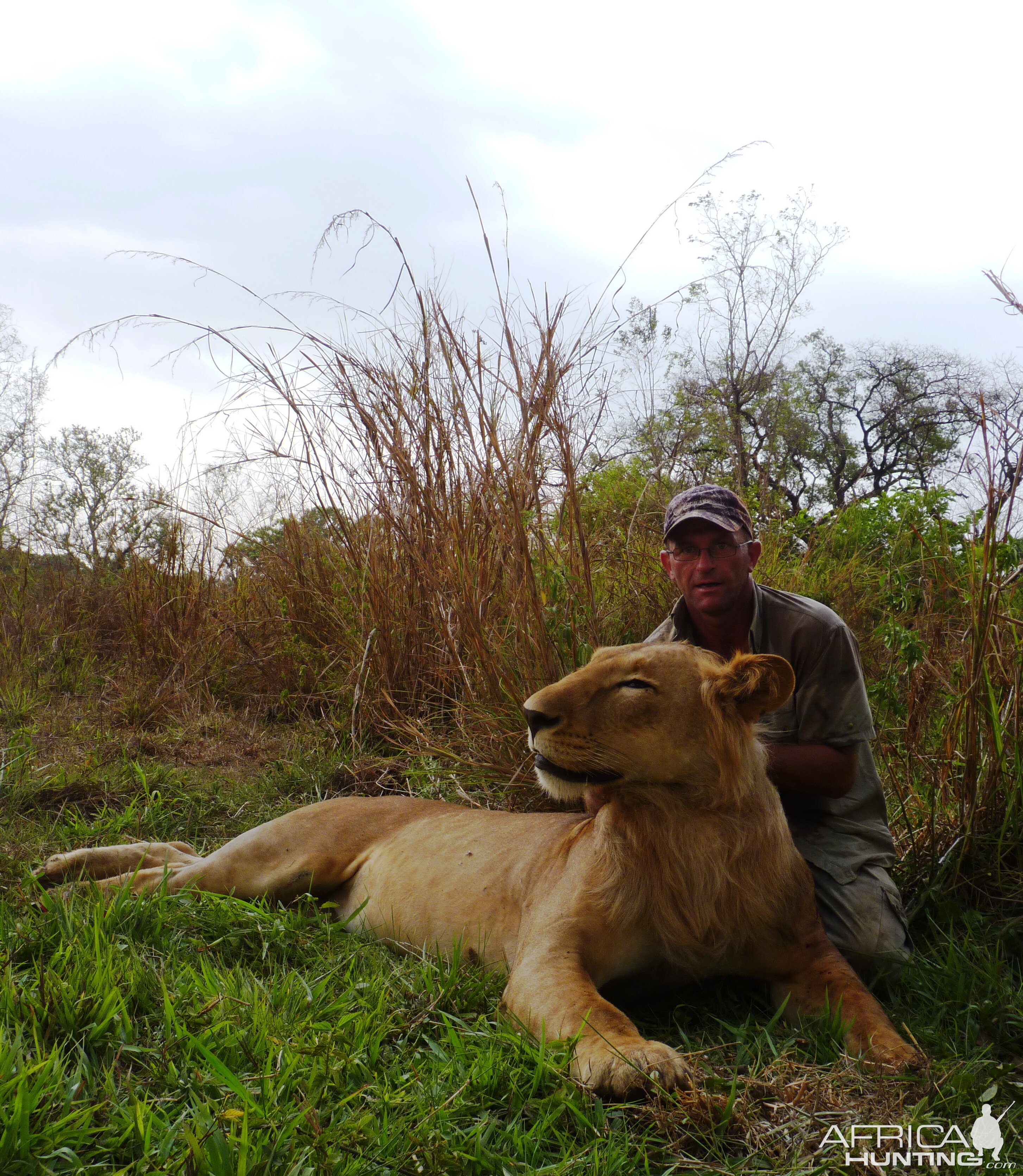 Lion hunted in CAR