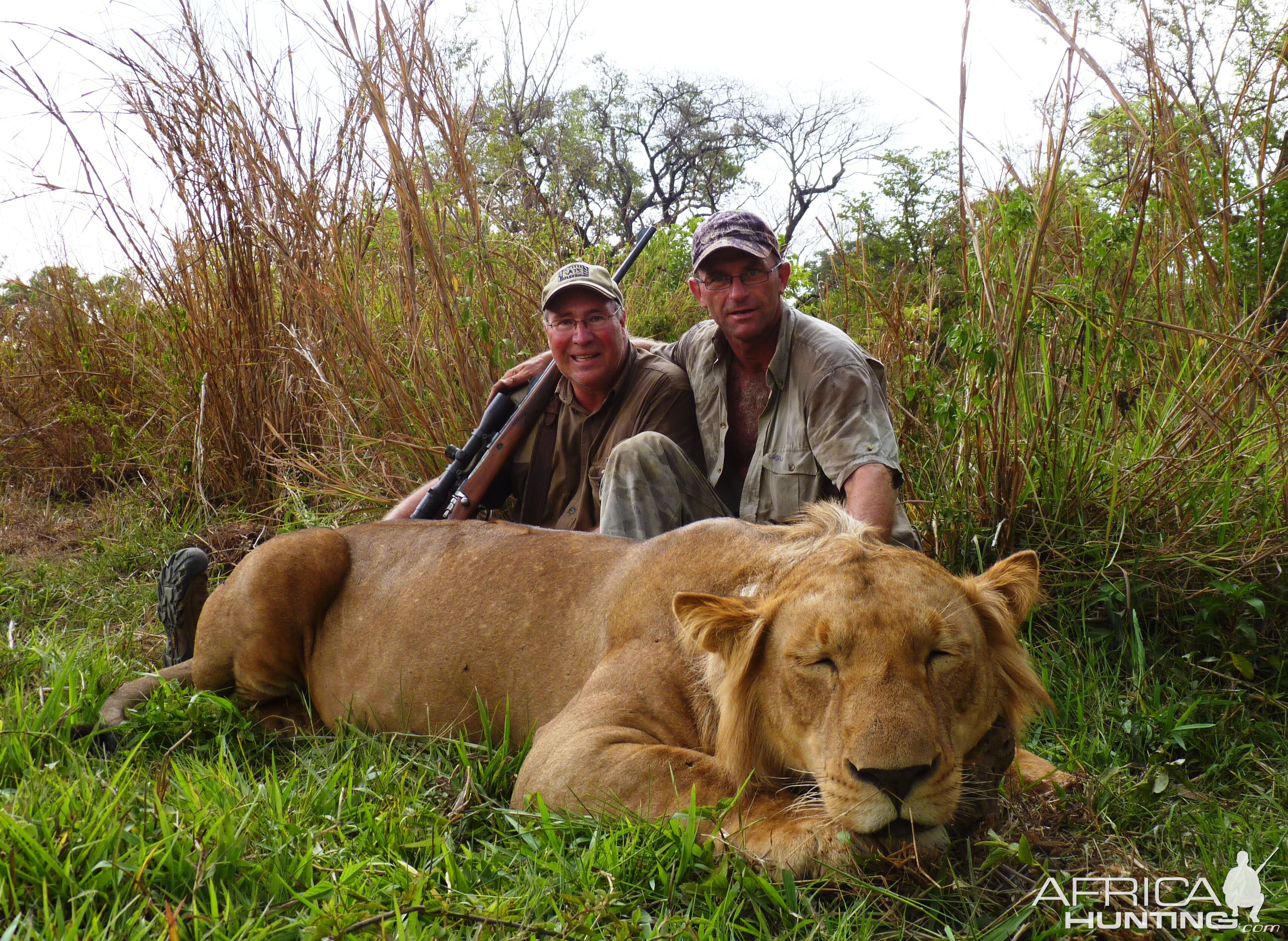 Lion hunted in CAR