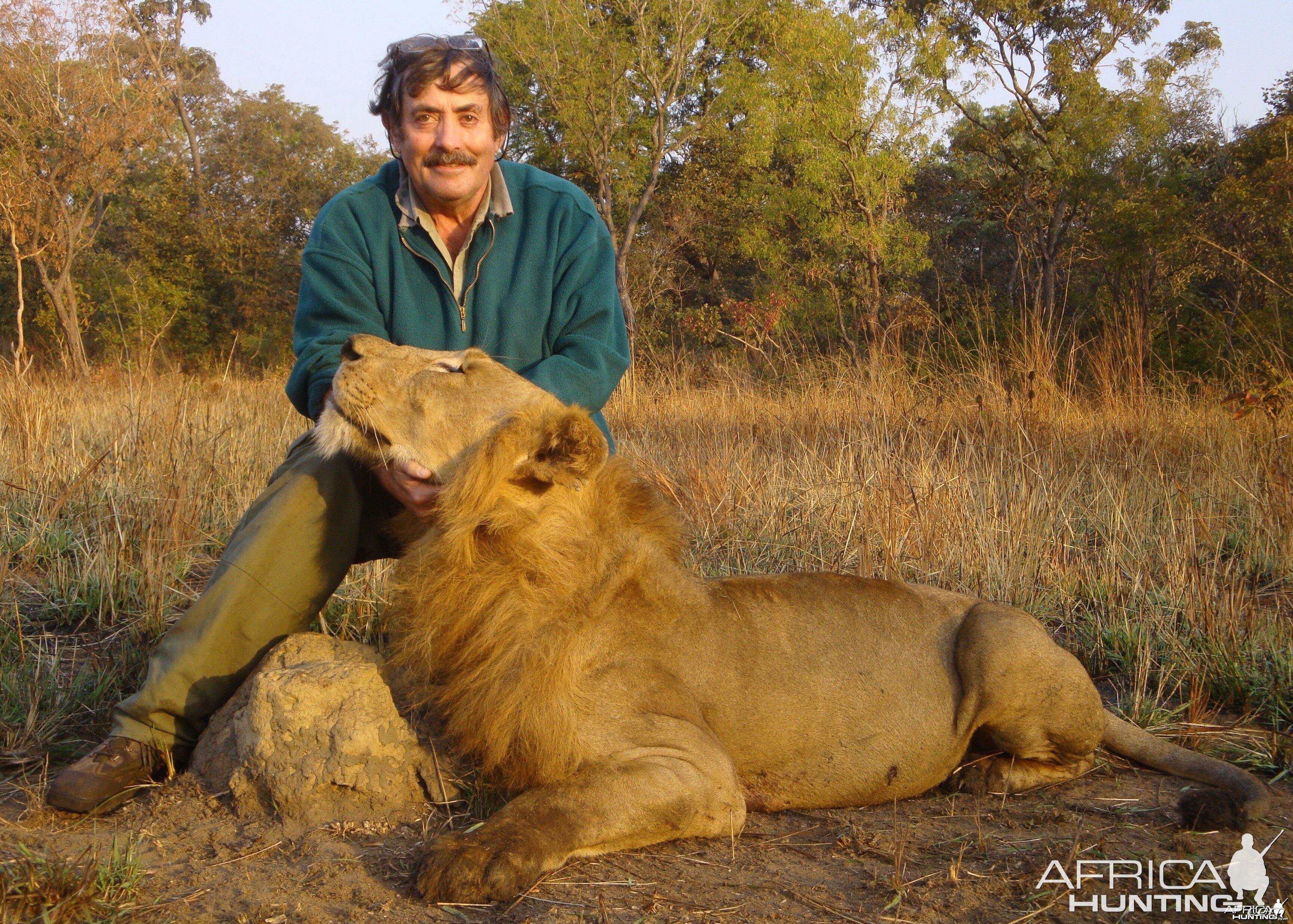 Lion hunted in Central Africa with Club Faune