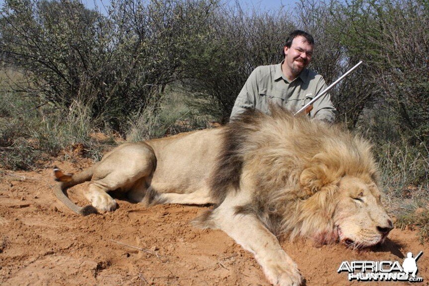 Lion Hunted in South AFrica