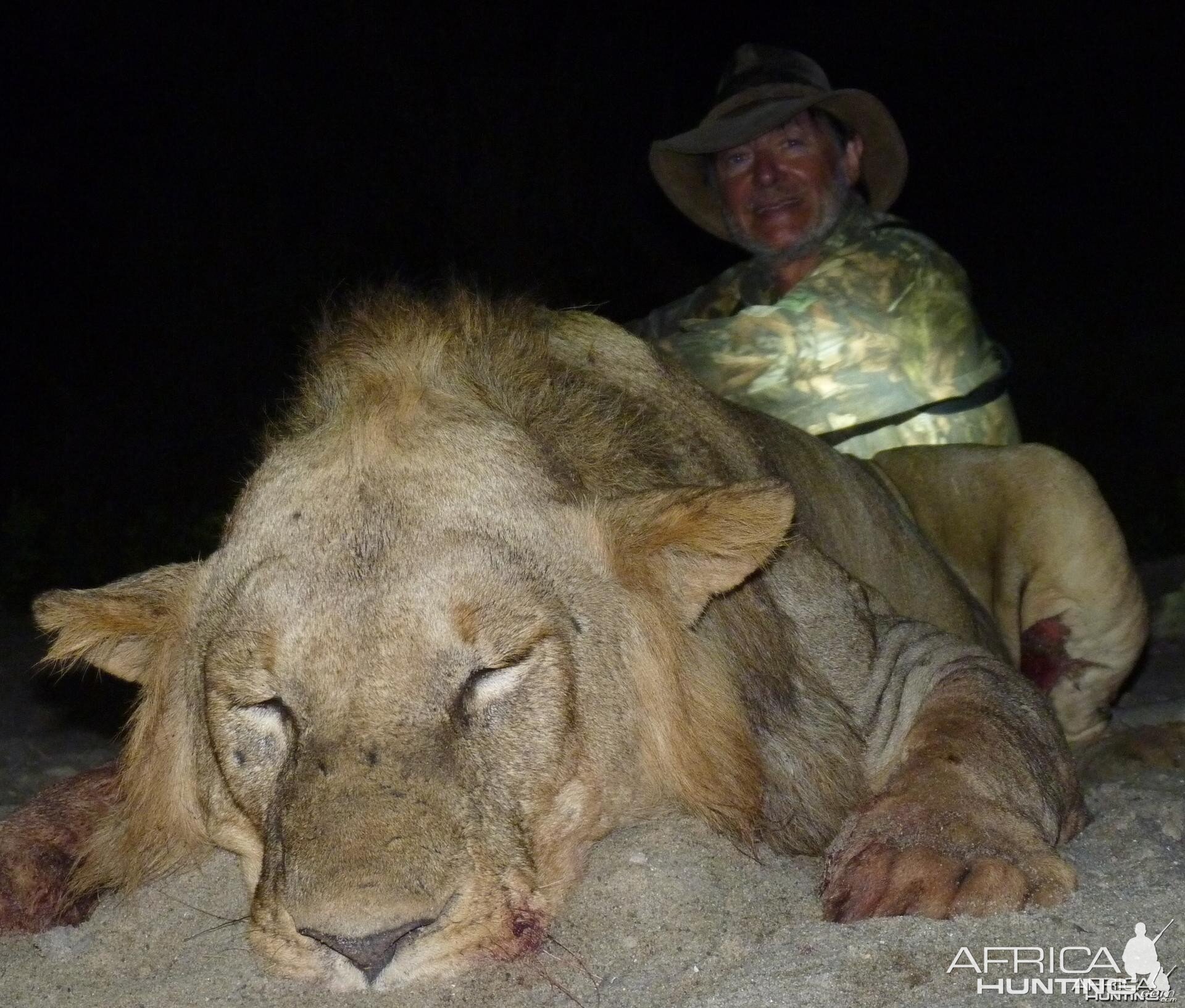 Lion hunted in the Selous, Tanzania