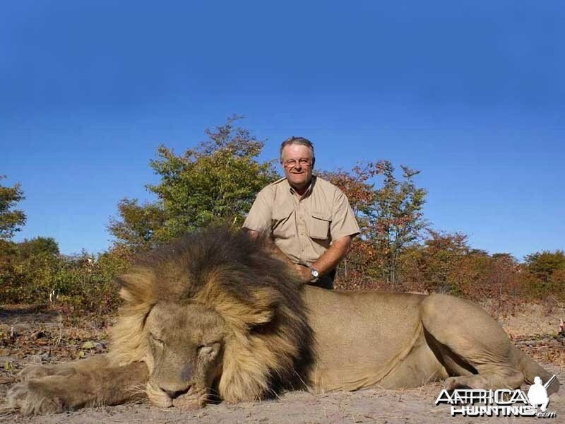 Lion hunted with Johan Calitz Safaris in Botswana