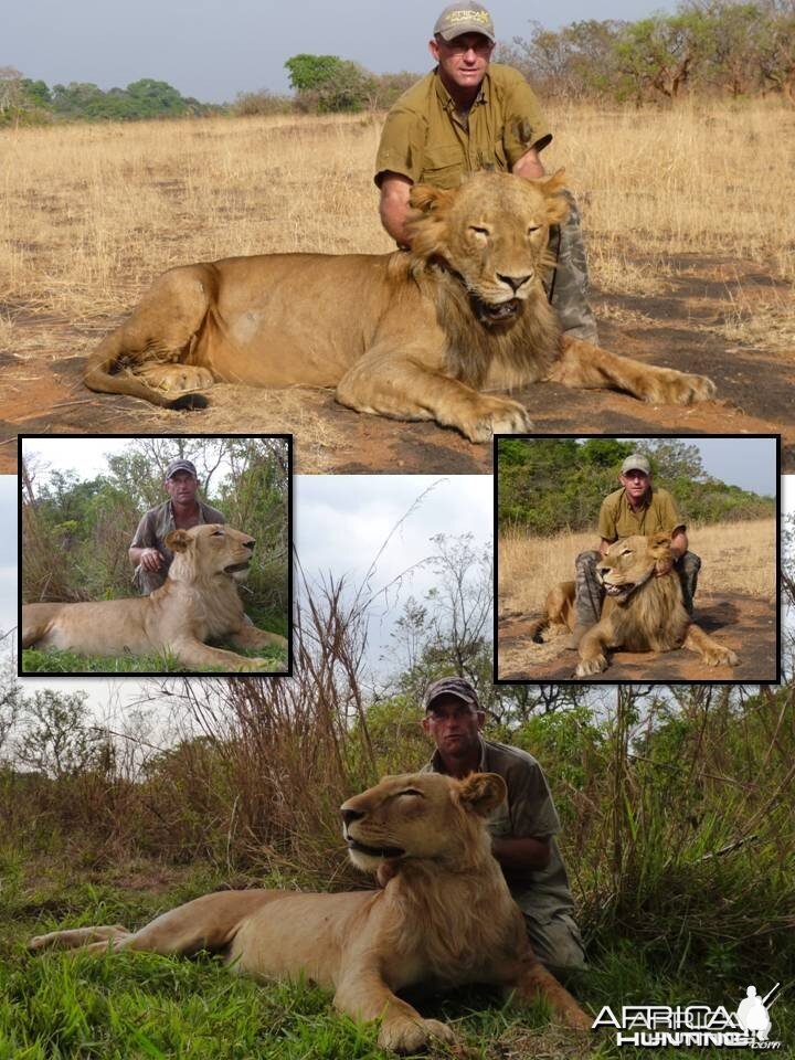 Lion Hunting in Central African Republic