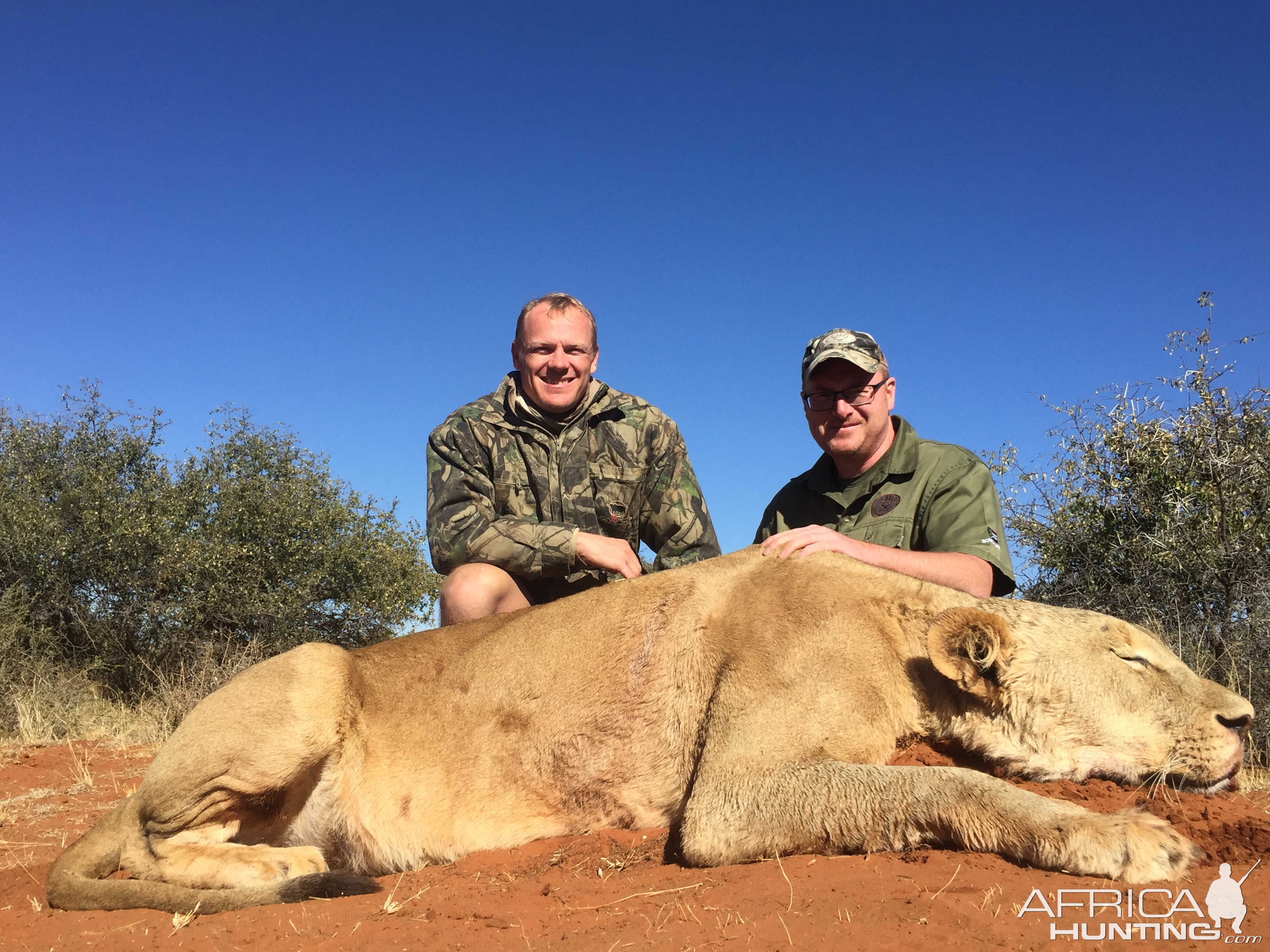 Lion Hunting in South Africa