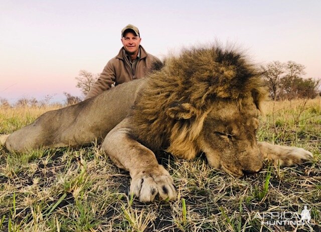 Lion Hunting Matetsi Zimbabwe