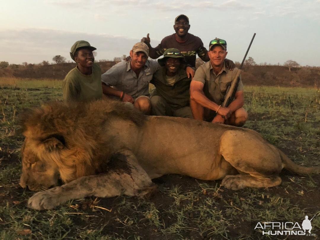 Lion Hunting Matetsi Zimbabwe