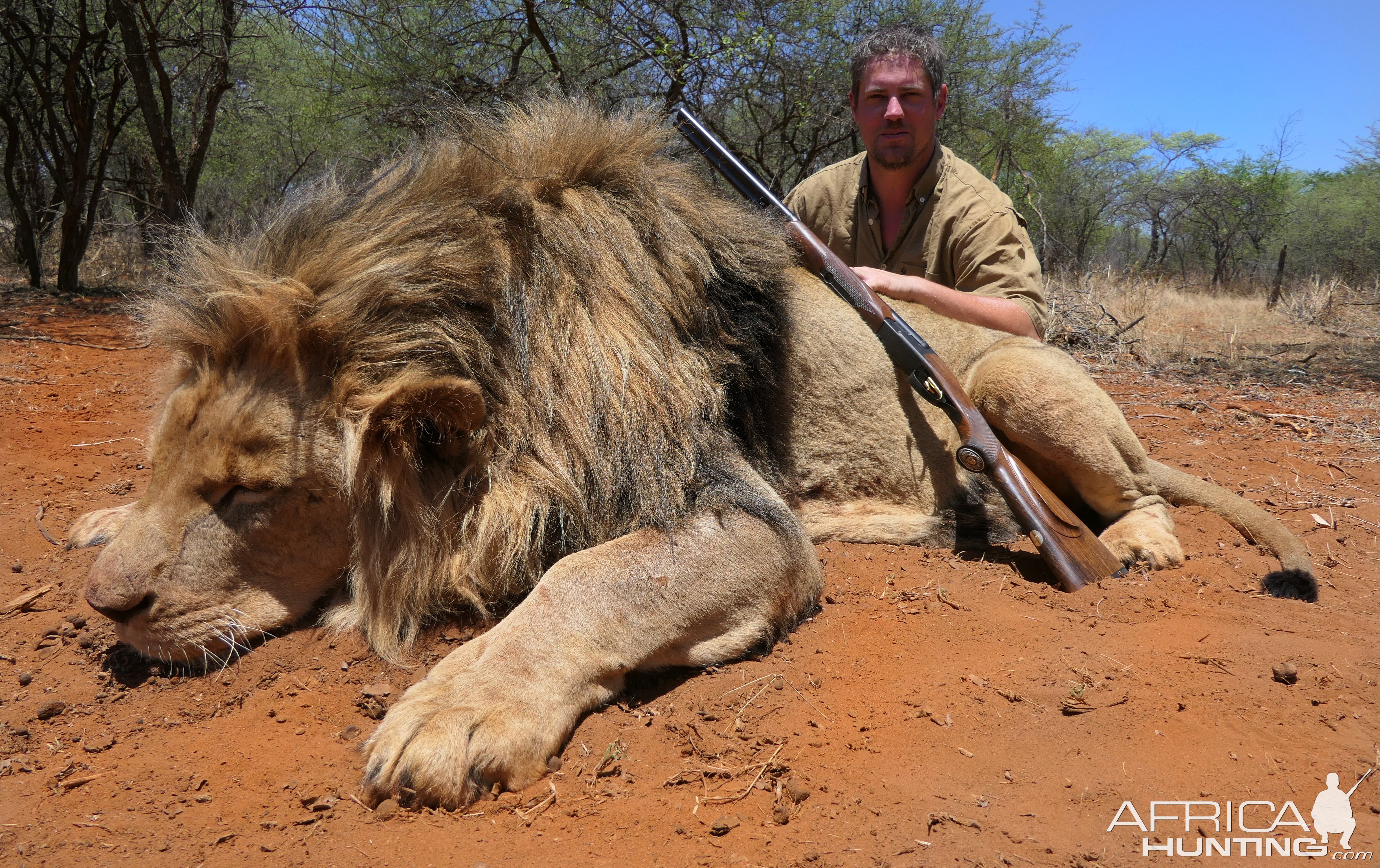 Lion Hunting South Africa