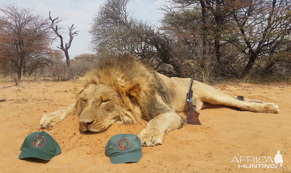 Lion Hunting South Africa