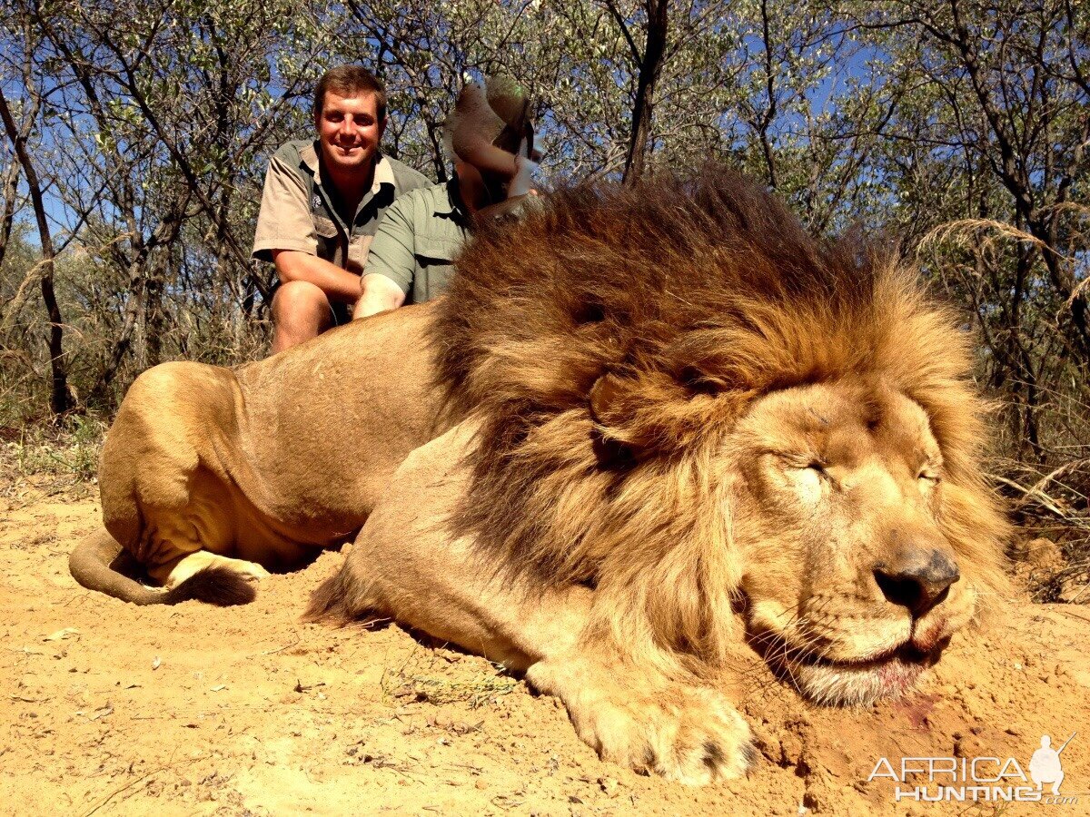 Lion Hunting South Africa