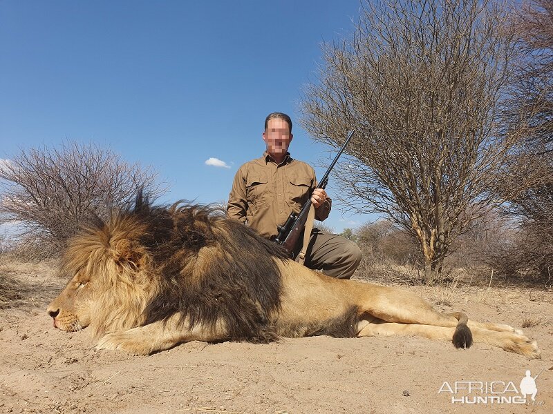 Lion Hunting South Africa