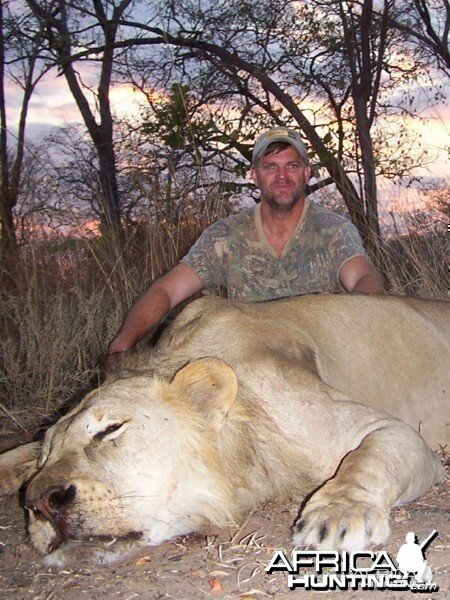 Lion Mozambique