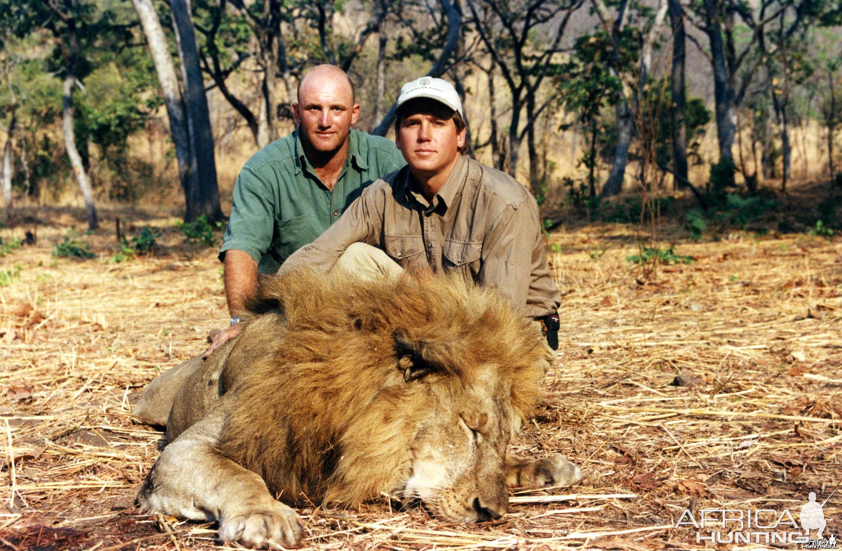 Lion, Mwipa River, Tanzania