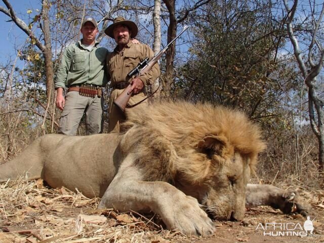 Lion Tanzania Hunt