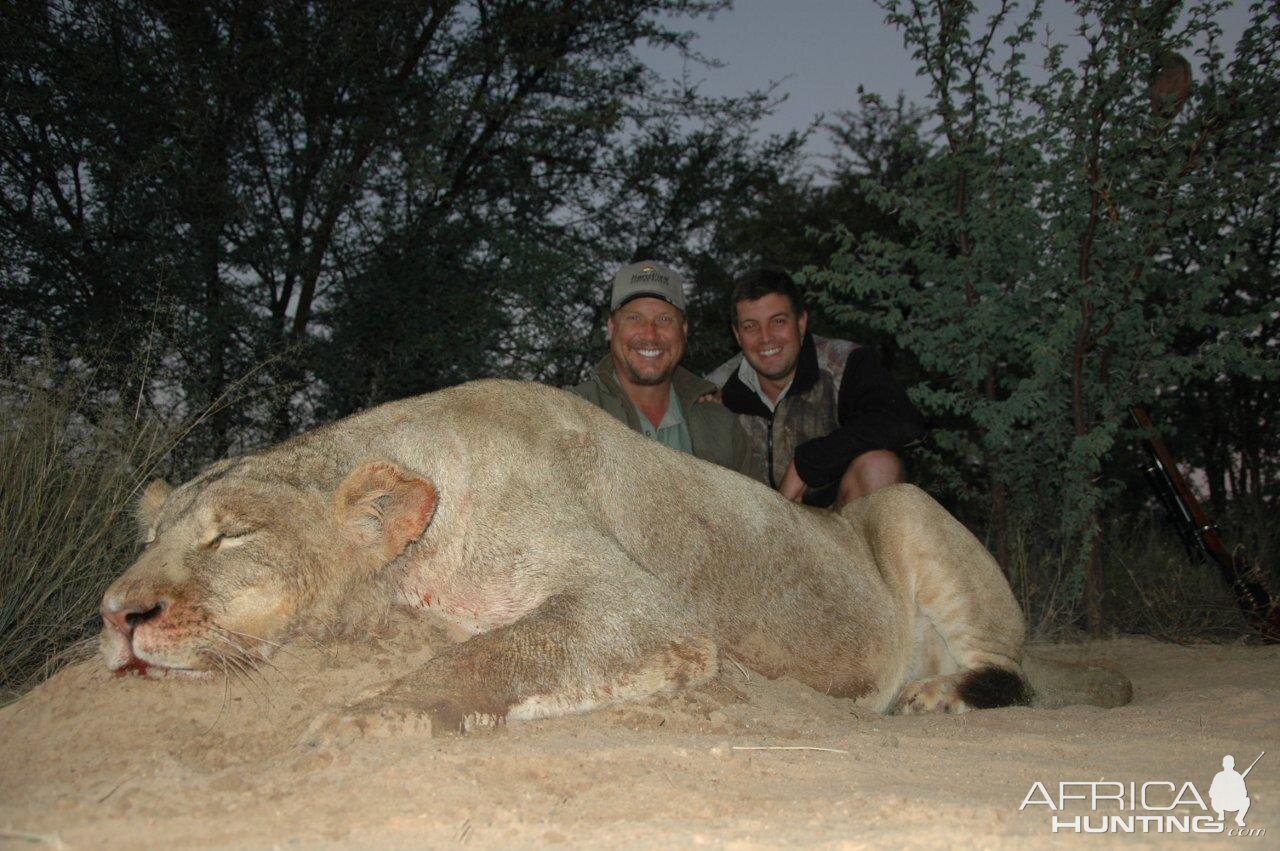 Lioness Hunt in South Africa