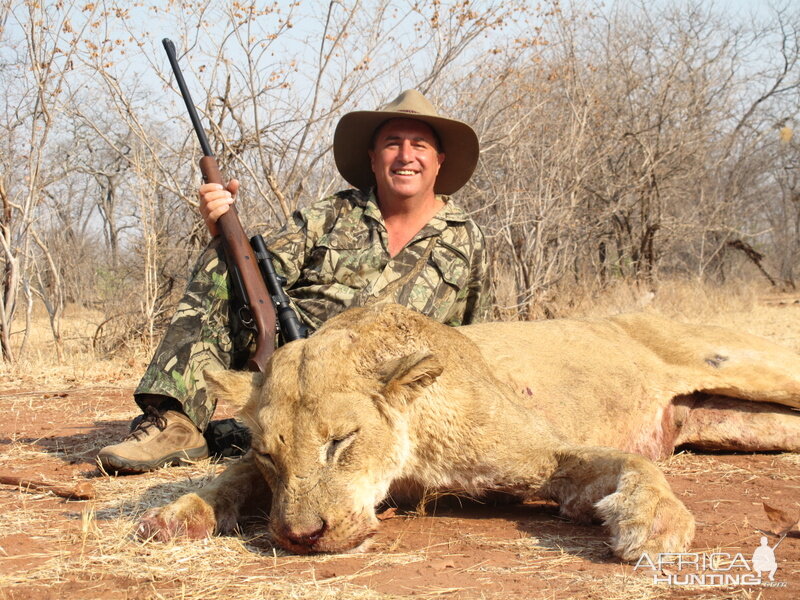 Lioness Hunt in Zimbabwe