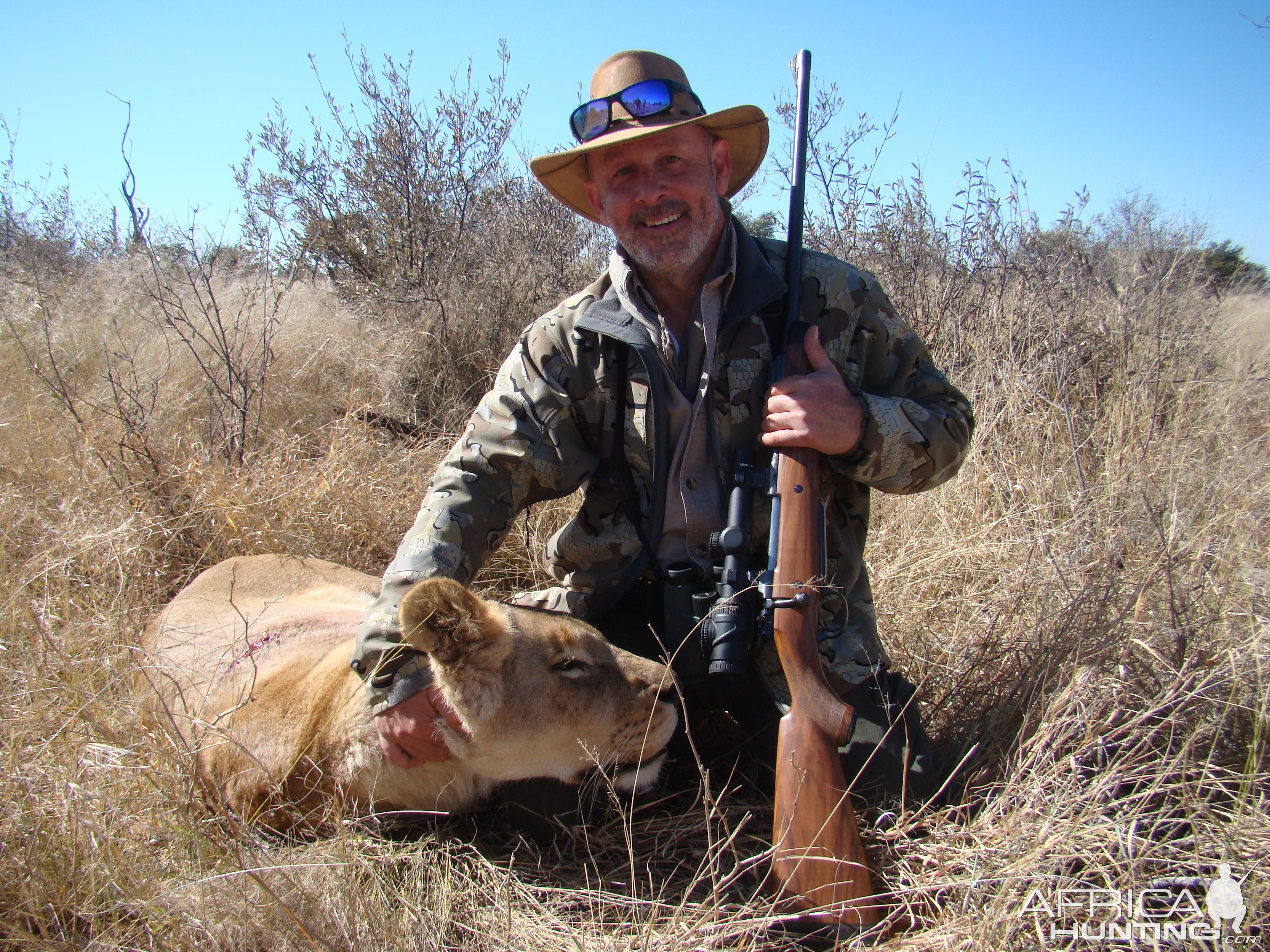 Lioness Hunt Kalahari South Africa