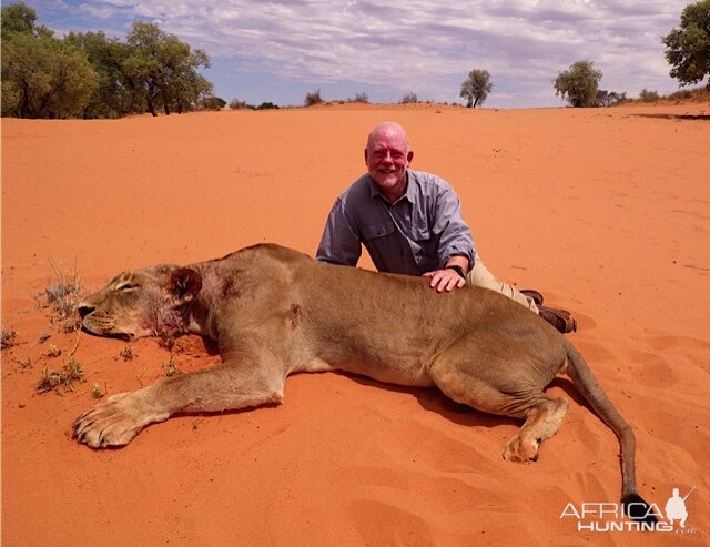 Lioness Hunt Namibia