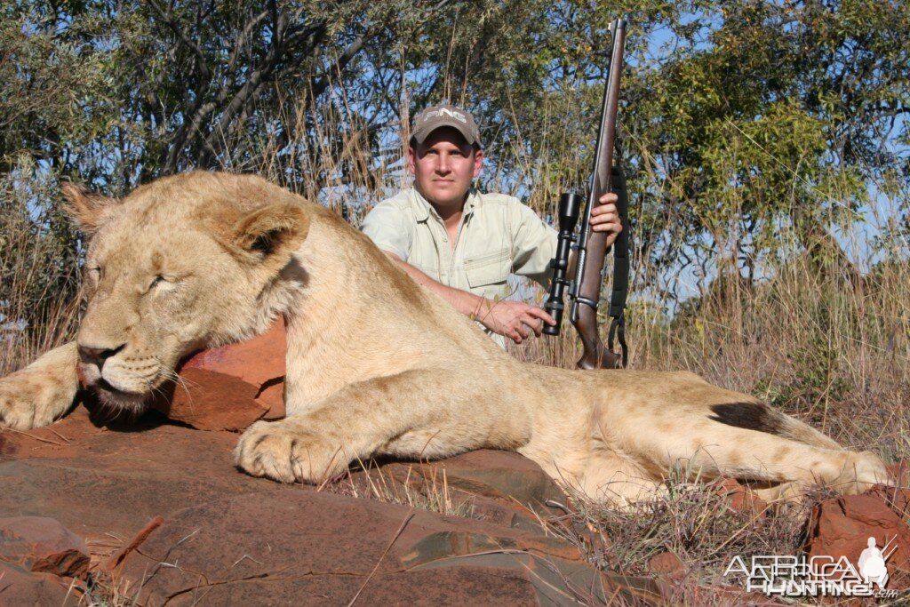 Lioness Hunt PH Hein Uys