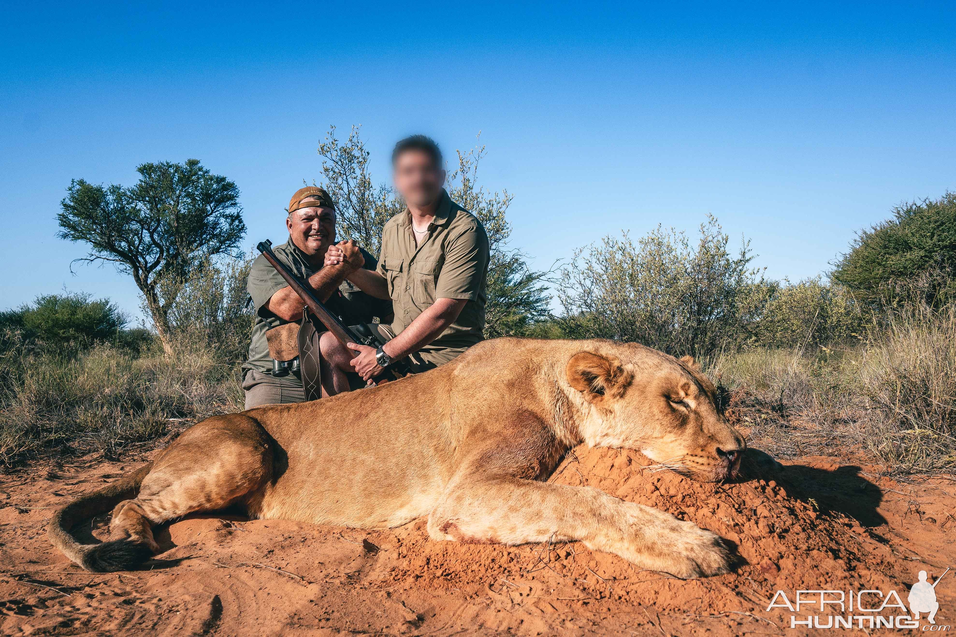 Lioness Hunt South Africa