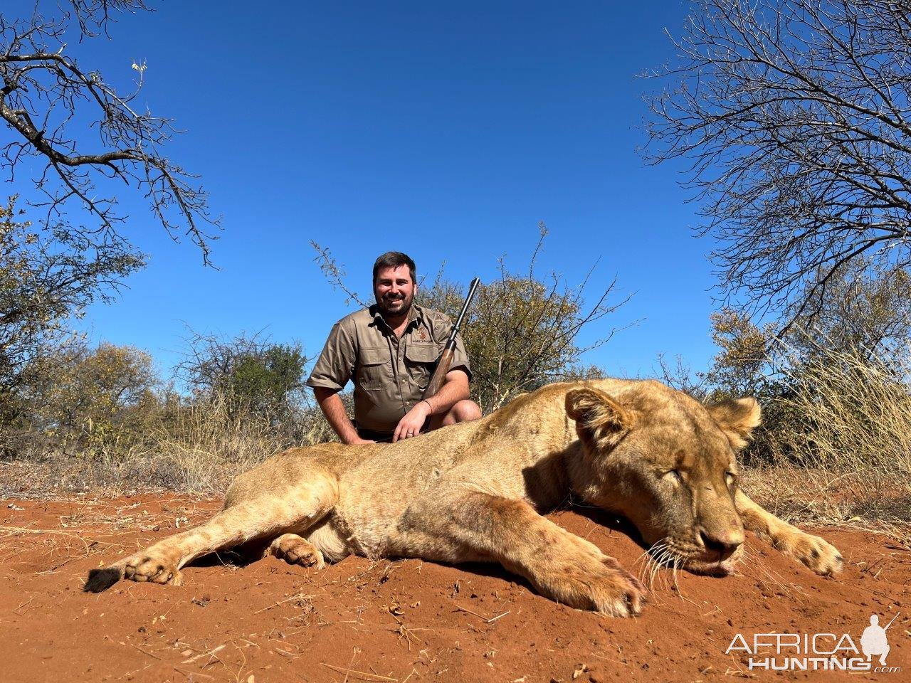 Lioness Hunt South Africa