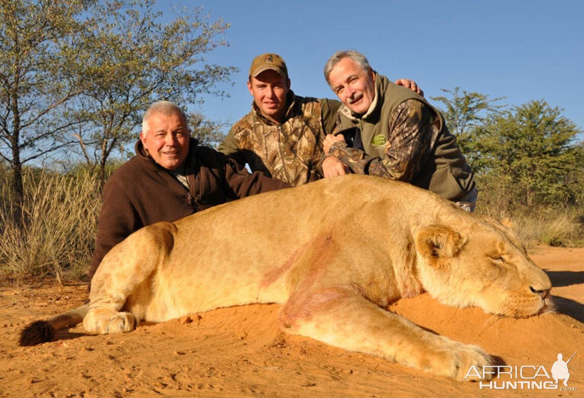 Lioness Hunt South Africa