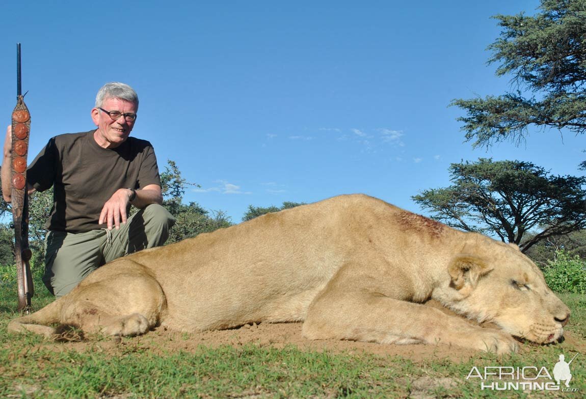 Lioness Hunt South Africa