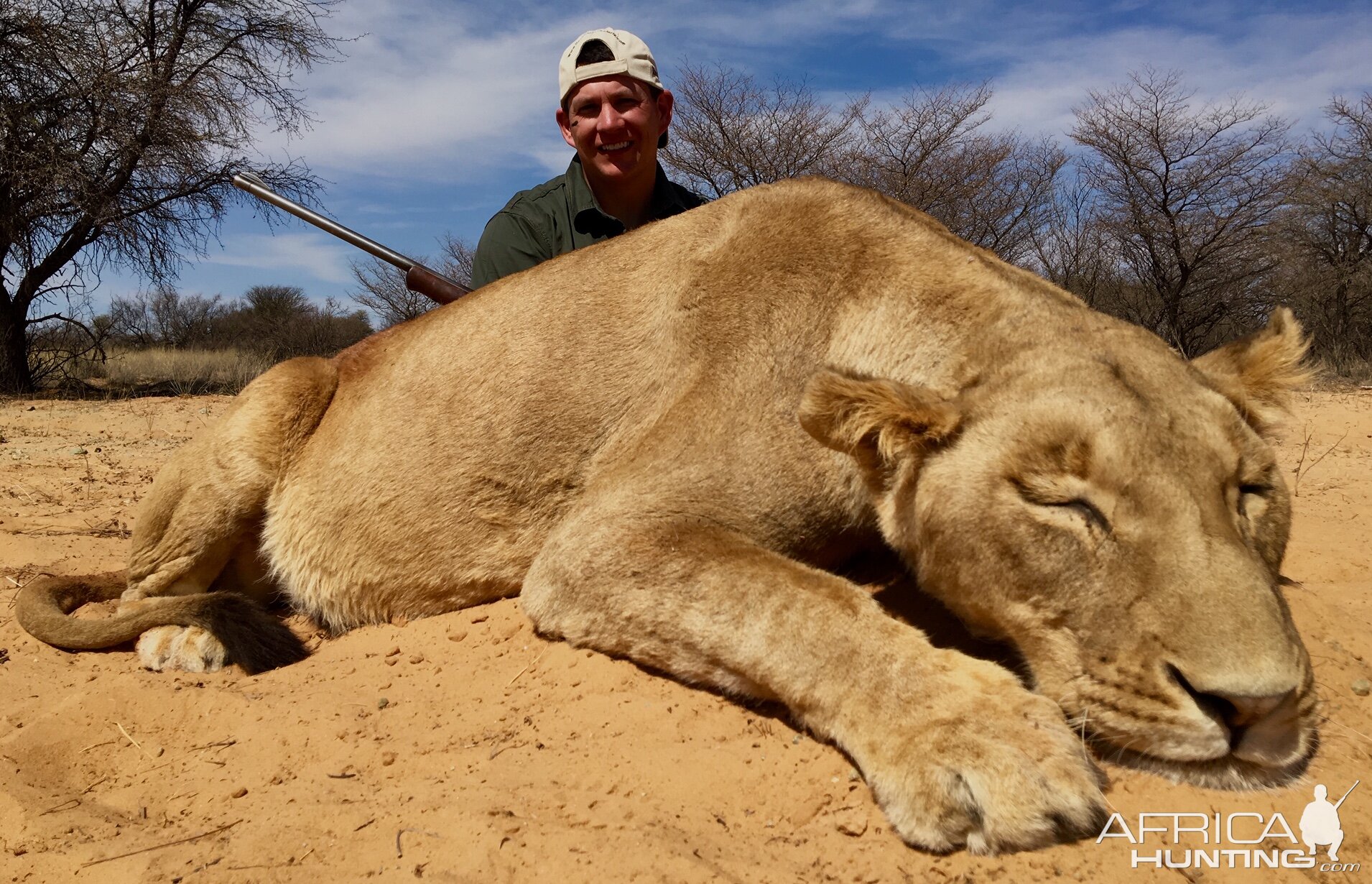 Lioness Hunt South Africa