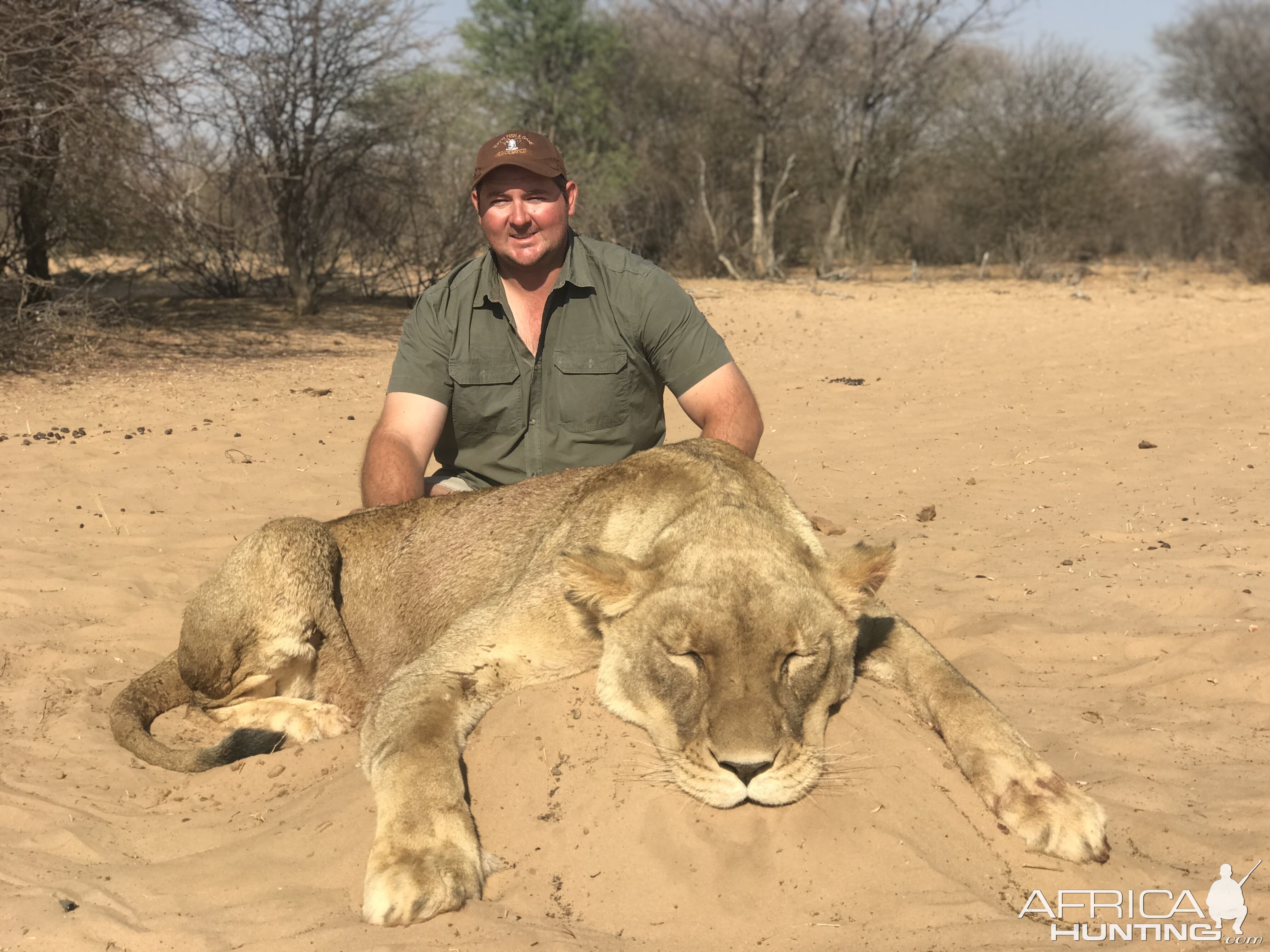 Lioness Hunt South Africa